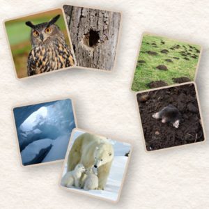 Les habitats des animaux