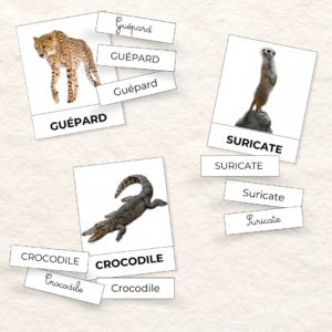 Les 3 graphies : Animaux d'Afrique